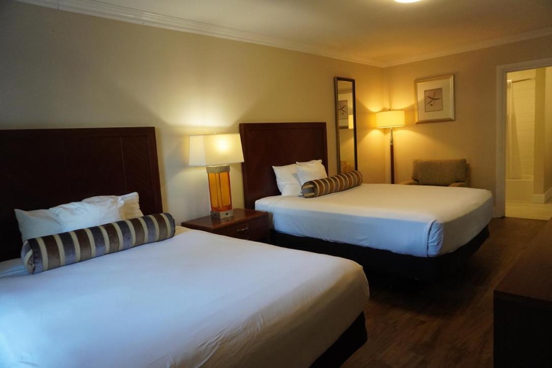 Zimmer mit 2 Queensize-Betten