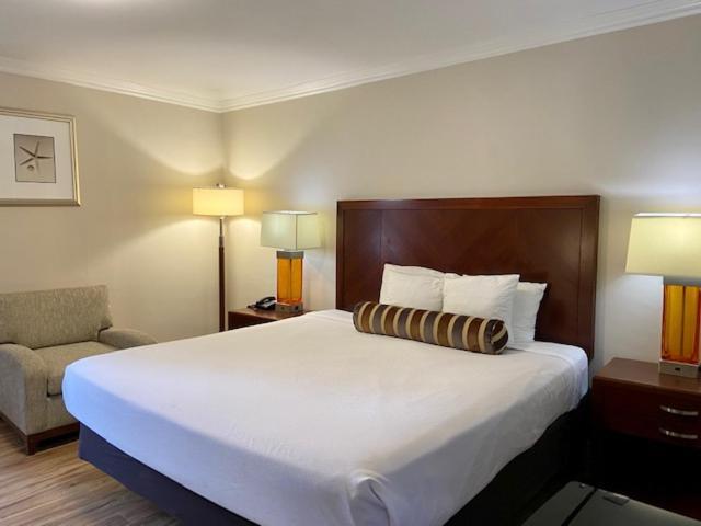 Zimmer mit Kingsize-Bett